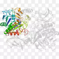 平面设计.木薯-空若网 平面设计.木薯-空若网