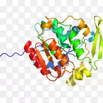 辣椒、甜椒、蔬菜食品-木薯-空若网 辣椒、甜椒、蔬菜食品-木薯-空若网