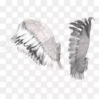 数字图像信息剪贴画.翅膀-空若网 数字图像信息剪贴画.翅膀-空若网