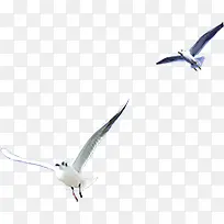 ������Ӱ������պ�ƽ��-������