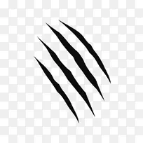 动物抓痕-空若网 动物抓痕-空若网