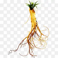 草根上的小草-空若网 草根上的小草-空若网