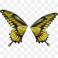 �������-������