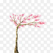 树-空若网 树-空若网