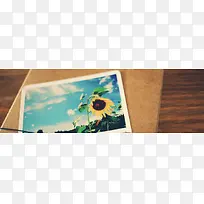 唯美照片中的向日葵海报背景-空若网 唯美照片中的向日葵海报背景-空若网