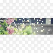 Ψ����ϵ���ʸк�������-������