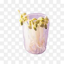 一次必杯子里的芽菜-空若网 一次必杯子里的芽菜-空若网