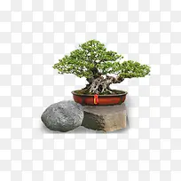 ��-������