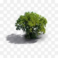 ʵ������Ч��ͼ-������