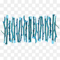 蓝色栅栏-空若网 蓝色栅栏-空若网