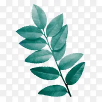 ��ҶͼƬ�ز�-������