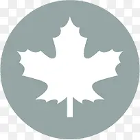 扁平化图标枫叶符号-空若网 扁平化图标枫叶符号-空若网