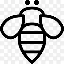 蜂巢昆虫养蜂-空若网 蜂巢昆虫养蜂-空若网