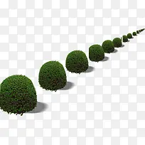 ������Ӱ��ɫ����·��̳-������