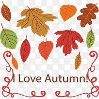我爱秋天美丽的树叶-空若网 我爱秋天美丽的树叶-空若网