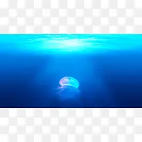 深蓝海底可爱水母-空若网 深蓝海底可爱水母-空若网
