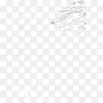 落雪的树枝-空若网 落雪的树枝-空若网