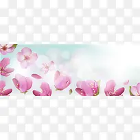 ����ӣ��banner����-������