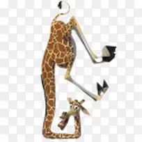 马达加斯加-空若网 马达加斯加-空若网