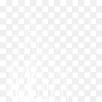 白色分叉枯树枝-空若网 白色分叉枯树枝-空若网