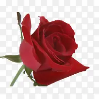 ��������»�-������