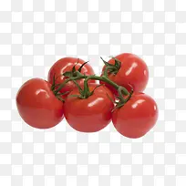 蔬菜-空若网 蔬菜-空若网