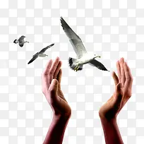 双手托起爱-空若网 双手托起爱-空若网