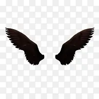 暗黑翅膀-空若网 暗黑翅膀-空若网