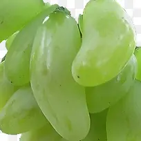 金手指青皮葡萄-空若网 金手指青皮葡萄-空若网