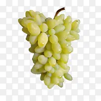 ����ָ����-������