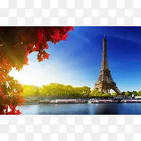 ��ɫ��հ��ƶ�������Ҷ-������