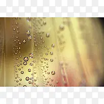 梦幻露珠背景-空若网 梦幻露珠背景-空若网