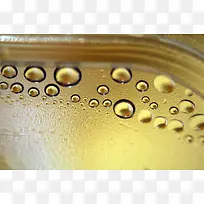 ¶�鱳��-������