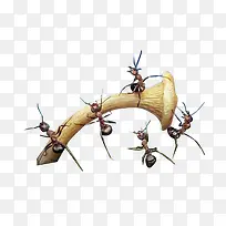 企业商务集体元素-空若网 企业商务集体元素-空若网