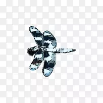 蝴蝶昆虫传粉器服装饰品珠宝-龙蝇-空若网 蝴蝶昆虫传粉器服装饰品珠宝-龙蝇-空若网