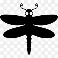 昆虫蜻蜓-龙蝇-空若网 昆虫蜻蜓-龙蝇-空若网