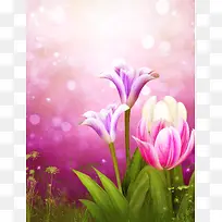 梦幻郁金香背景-空若网 梦幻郁金香背景-空若网
