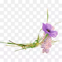 桌面壁纸浇铸-空若网 桌面壁纸浇铸-空若网