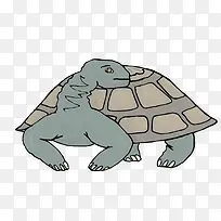 矢量乌龟素材-空若网 矢量乌龟素材-空若网