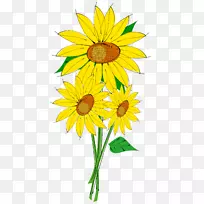 普通向日葵剪贴画-向日葵-空若网 普通向日葵剪贴画-向日葵-空若网