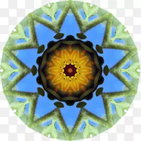 万花筒对称花有机体-向日葵-空若网 万花筒对称花有机体-向日葵-空若网