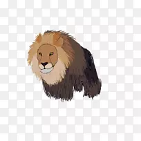 猫科食肉动物野生动物-狮头-空若网 猫科食肉动物野生动物-狮头-空若网