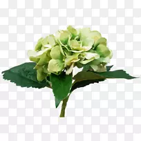 切花花型花束-绣球花-空若网 切花花型花束-绣球花-空若网