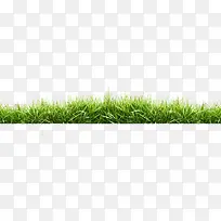 ²ÝµØ-¿ÕÈôÍø ²ÝµØ-¿ÕÈôÍø