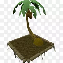 树木有机体-金钱树-空若网 树木有机体-金钱树-空若网