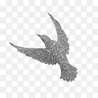 闪亮的小鸟-空若网 闪亮的小鸟-空若网