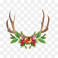 像鹿角的树枝-空若网 像鹿角的树枝-空若网