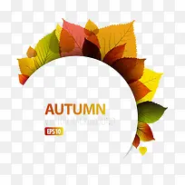 ������Ҷ�ز�-������