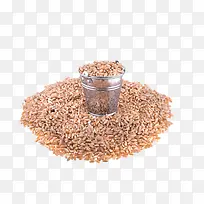 ����ı���-������