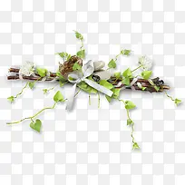 藤蔓树枝-空若网 藤蔓树枝-空若网